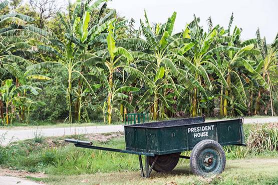 देखें- राष्ट्रपति भवन की वो तस्वीरें, जो आपने शायद ही देखी होंगी