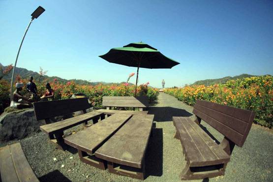 पटेल की मूर्ति ही नहीं, खास है यहां बना गार्डन और टेंट सिटी