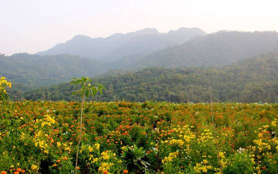 सीने तक जाएगी लिफ्ट, ऐसी है सरदार पटेल की प्रतिमा और ऐसा है नजारा