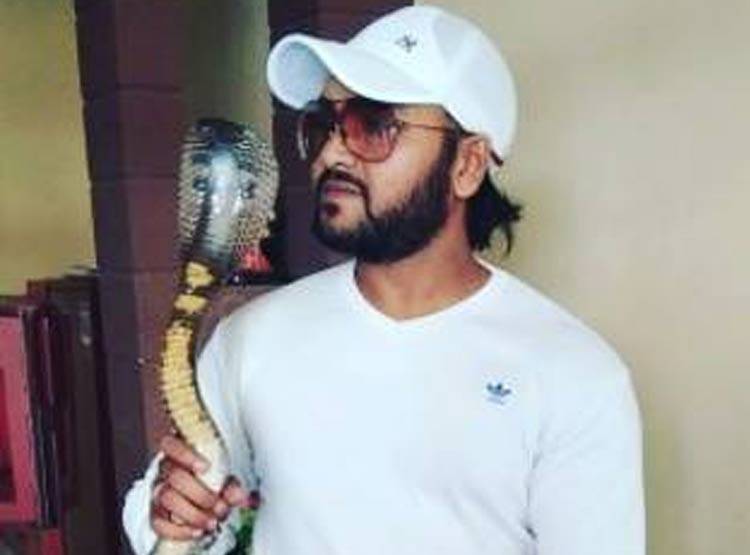 यू-ट्यूब पर सांप पकड़कर दिखाते थे स्टंट, कोबरा ने डसा, मौत
