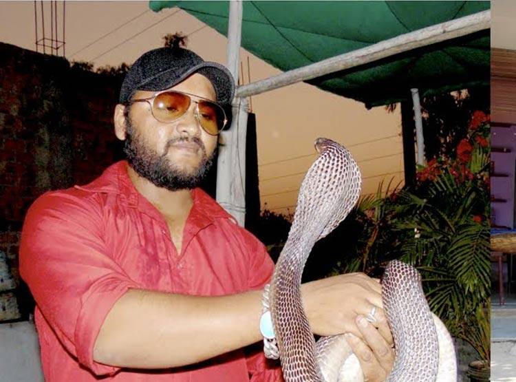 यू-ट्यूब पर सांप पकड़कर दिखाते थे स्टंट, कोबरा ने डसा, मौत