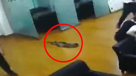 Video: ऑफिस में अचानक महिला के बगल में गिरा अजगर, भागे लोग