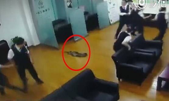 Video: ऑफिस में अचानक महिला के बगल में गिरा अजगर, भागे लोग