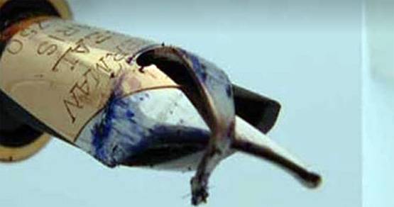 जानिए- क्यों फांसी की सजा के बाद पेन की निब तोड़ देते हैं जज?