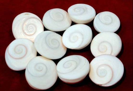 धनतेरस: सोना-चांदी से भी ज्यादा शुभ फलदायी हैं ये चीजें, खरीदने से साल भर होगी धन वर्षा