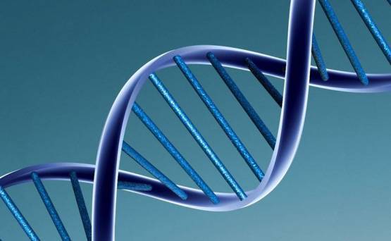 पहली बार जीन में बदलाव से बच्चों का जन्म, वैज्ञानिक भी हैरान!