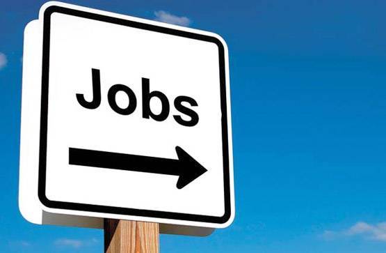 SSC MTS Jobs: 10वीं पास के लिए बंपर भर्ती, जल्द करें अप्लाई