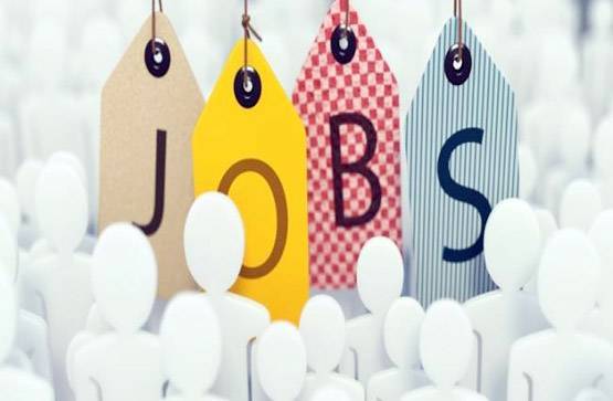 SSC MTS Jobs: 10वीं पास के लिए बंपर भर्ती, जल्द करें अप्लाई