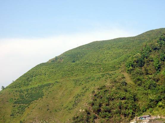 दिवाली की छुट्टियों में सिर्फ 8000 में घूम सकते हैं ये शानदार जगहें