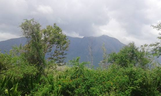 दिवाली की छुट्टियों में सिर्फ 8000 में घूम सकते हैं ये शानदार जगहें