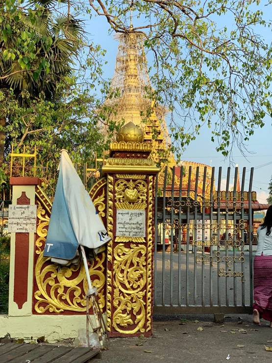 ट्विटर CEO ने दी म्यांमार में विपश्यना की सलाह, हुआ विवाद