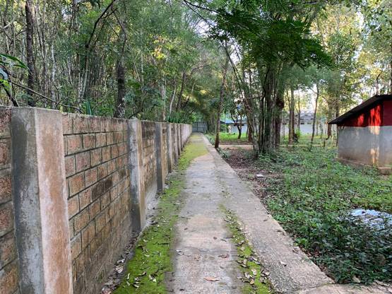 ट्विटर CEO ने दी म्यांमार में विपश्यना की सलाह, हुआ विवाद