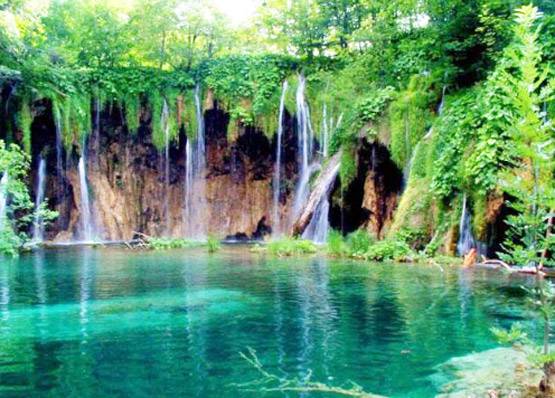 Nomophobia बना वर्ड ऑफ द ईयर, मोबाइल रखने वाले जरूर पढ़ें