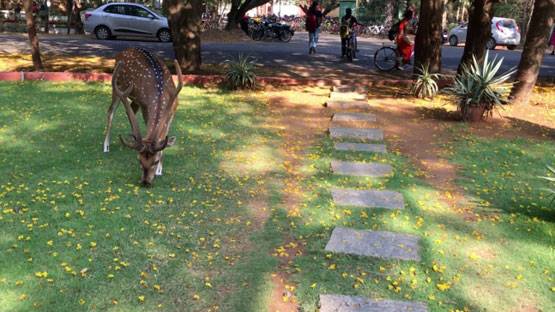 इस्तेमाल हुए कंडोम मिलने पर IIT छात्र पर 5000 का फाइन, नाम भी छापा