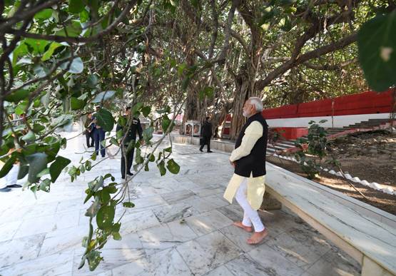 किले में बंद था ये दिव्य वृक्ष, मोदी ने दर्शन कर किया बड़ा ऐलान