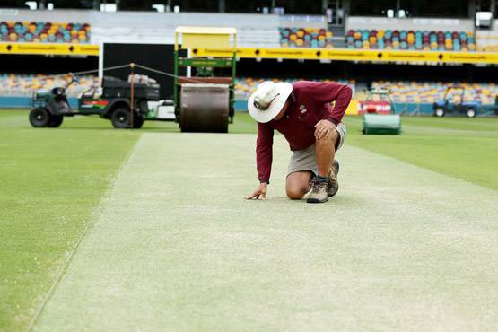 एडिलेड के क्यूरेटर का खुलासा- पिच पर टीम इंडिया को मिलेगी 'घास'