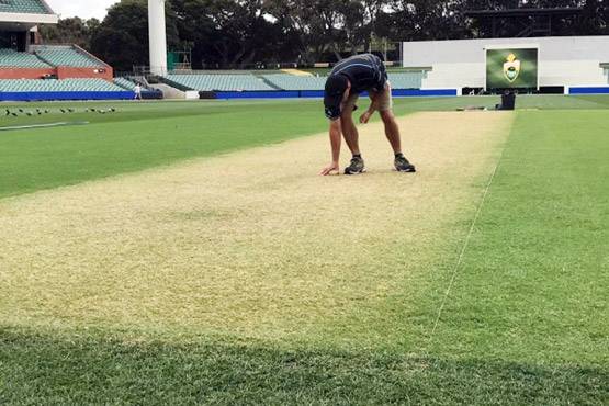 एडिलेड के क्यूरेटर का खुलासा- पिच पर टीम इंडिया को मिलेगी 'घास'