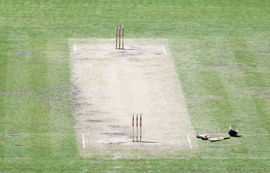 एडिलेड के क्यूरेटर का खुलासा- पिच पर टीम इंडिया को मिलेगी 'घास'