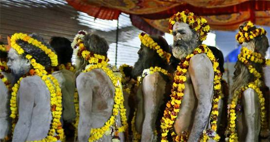 पहली बार किन्नर अखाड़ा ने किया शाही स्नान, देखें कुंभ की तस्वीरें