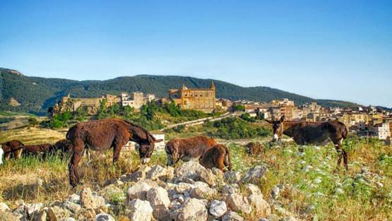 इटली के इस कस्बे में बसिए और बच्चे पैदा करिए, मिलेंगे लाखों रुपए!