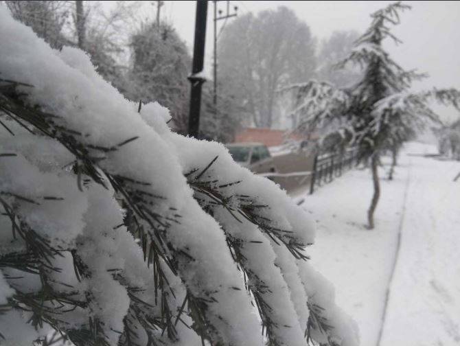 3 राज्यों में भारी बर्फबारी, कहीं आफत में जान, तो कहीं सैलानी मस्त