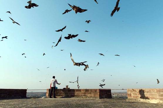 जोधपुर किले से रोजाना क्यों फेंककर चीलों को खिलाया जाता है मांस?