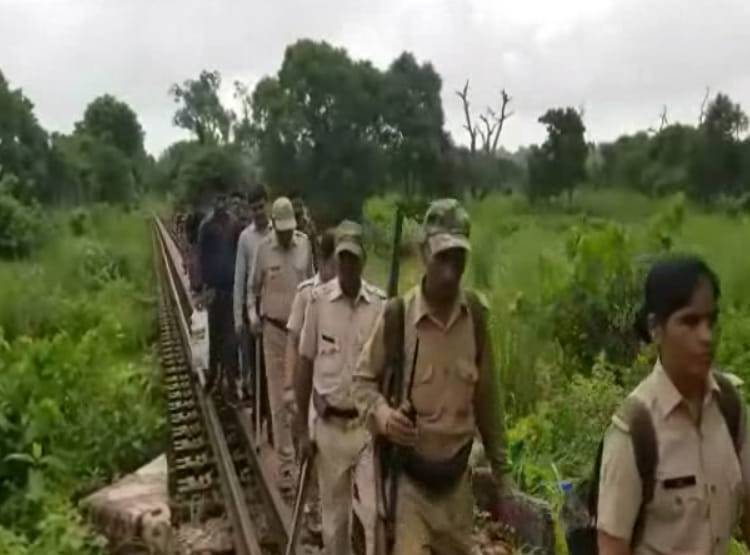 85 साल बाद दुधवा पार्क में द‍िखा दुर्लभ प्रजात‍ि का खूबसूरत सांप