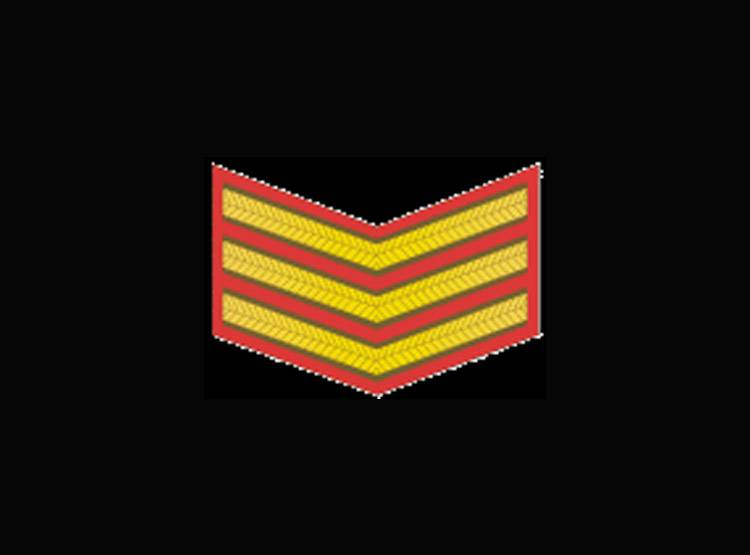 ये हैं सेना के रैंक, जानें- मेजर-कर्नल-ब्रिगेडियर में कौन सीनियर?