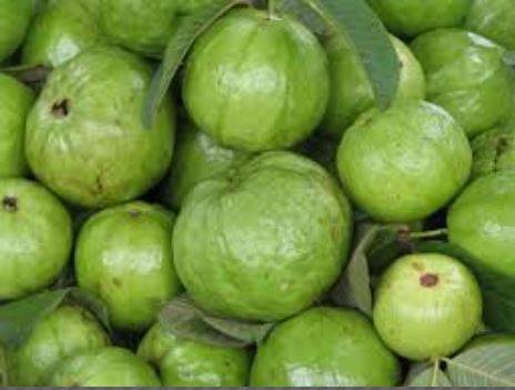 टमाटर की मार से पाकिस्तानी पस्त, भारतीय सेना की दहाड़ से क्या हाल होगा?