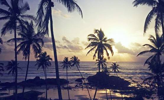 गोवा के बीच पर फ्री में बीयर, मिल रहा अनोखा ऑफर!