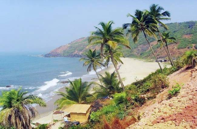 गोवा के बीच पर फ्री में बीयर, मिल रहा अनोखा ऑफर!