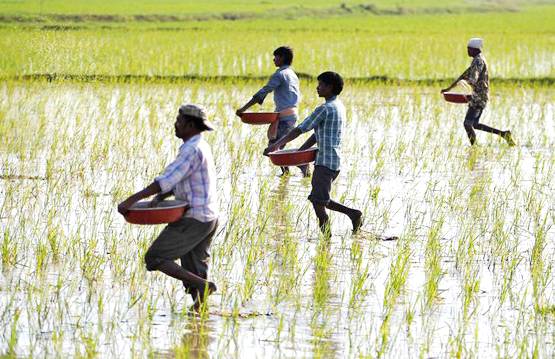 किसान सम्मान योजना: इन किसानों के खाते में नहीं आएंगे पैसे?