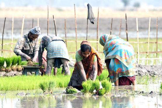 किसान सम्मान योजना: इन किसानों के खाते में नहीं आएंगे पैसे?