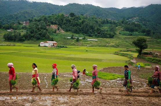 पीरियड्स में घर से बाहर बंद झोपड़ी में रह रही थी महिला, हुई मौत