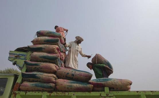 पाक से लिया वापस, लेकिन अभी इन देशों के पास है MFN का दर्जा