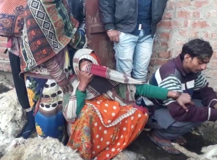 भेड़ों के बाड़े पर कुत्तों का हमला, 100 से ज्यादा की गई जान