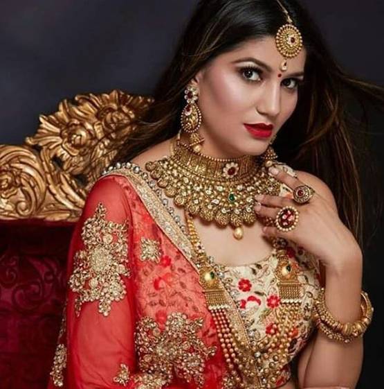 सपना चौधरी के बड़े-बड़े सपने, कितने पूरे, कितने अधूरे?