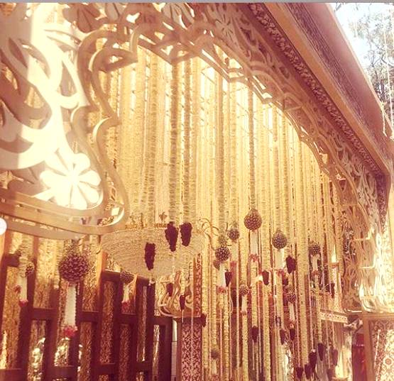 क्या ये एंटीलिया है? आकाश-श्लोका की शादी से पहले वायरल हुई तस्वीरें