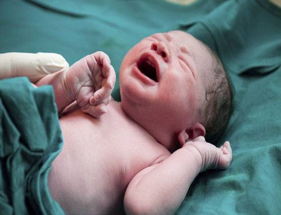 बच्चे को शहद तो नहीं चटाते आप? हो सकती है ये गंभीर बीमारी