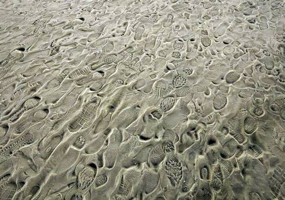 50 दिनों में 25 करोड़ श्रद्धालुओं ने लगाई डुबकी, कुंभ में बना रिकॉर्ड