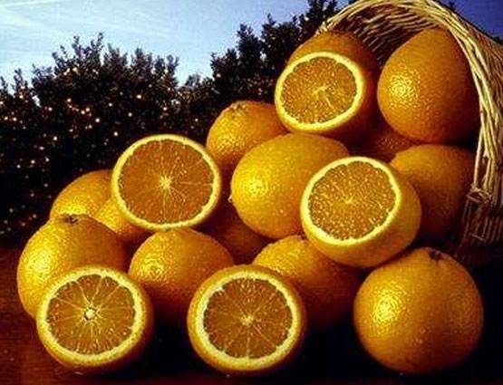 भूलकर भी दूध पीने से पहले न खाएं ये 5 चीजें, सेहत को होगा बड़ा नुकसान