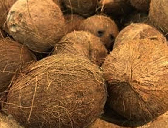 होली पर करें ये 5 काम कभी नहीं होगी पैसों की किल्लत