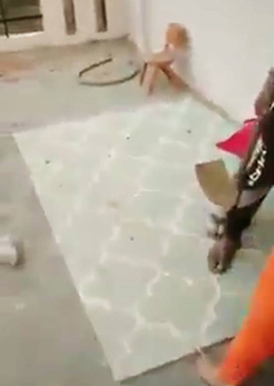 Video: होली पर क्रिकेट खेल रहे मुस्लिमों को पीटा, कहा- PAK जाओ