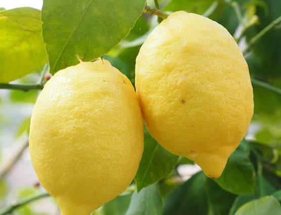 होली पर करें ये 5 काम कभी नहीं होगी पैसों की किल्लत