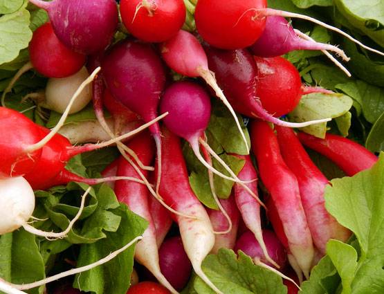 भूलकर भी दूध पीने से पहले न खाएं ये 5 चीजें, सेहत को होगा बड़ा नुकसान