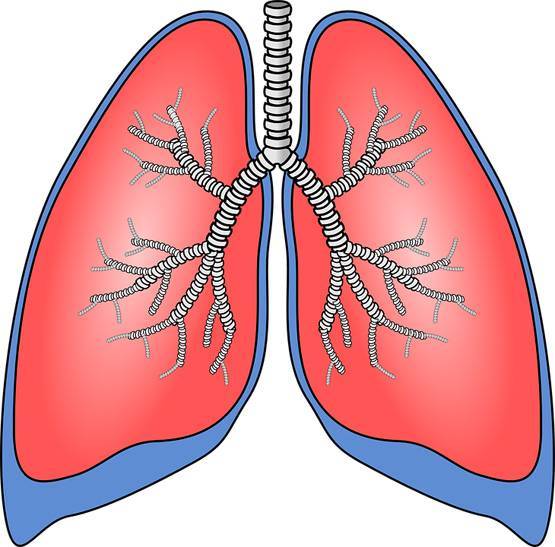 World TB Day 2019: क्यों होती है टीबी, कैसे पा सकते हैं छुटकारा