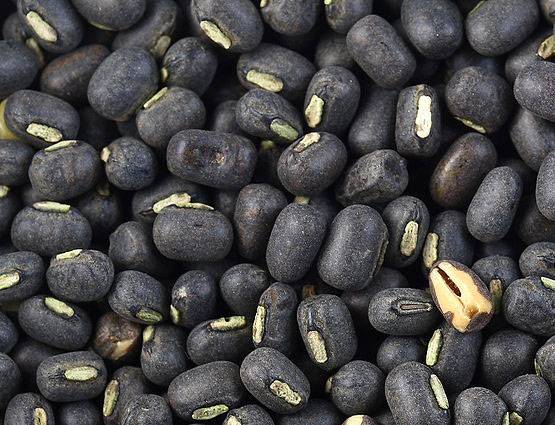 भूलकर भी दूध पीने से पहले न खाएं ये 5 चीजें, सेहत को होगा बड़ा नुकसान