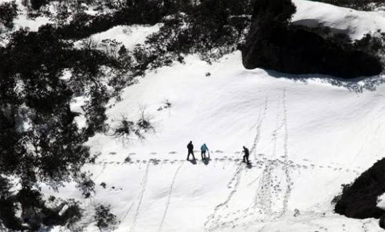 जानें- कैसा दिखता है हिम मानव, 187 साल पहले हुआ था सबसे पहले जिक्र