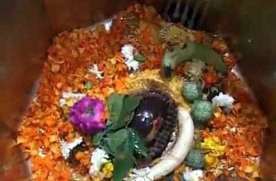 दूधेश्‍वर नाथ मंदिर पहुंचीं प्रियंका, शिवभक्त रावण से जुड़ा है इतिहास