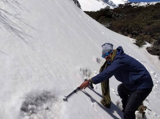 जानें- कैसा दिखता है हिम मानव, 187 साल पहले हुआ था सबसे पहले जिक्र